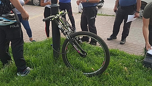 İnternette satışa çıkarınca yakalandı