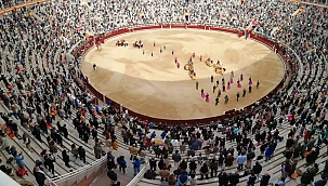 İspanya'da "boğa güreşi" yapıldı