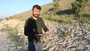 Kaplumbağaya şefkat eli! 