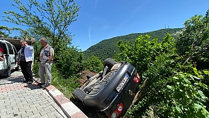 Hayatlarını ağaç dalı kurtardı