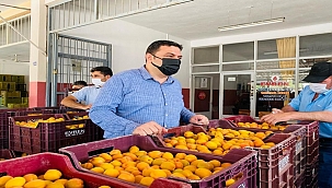 "Kayısımıza rakip tanımıyoruz" 