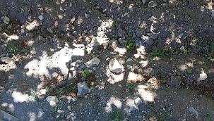 Kayısıyı önce fırtına sonra don vurdu! 