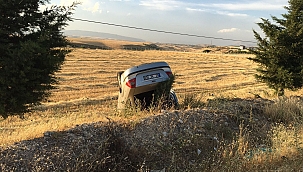 Keklik sürüsü kazaya neden oldu