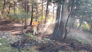 Kısıtlamada mangal keyfi ormanı yaktı 
