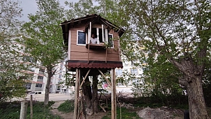 Virüsten korunmak için ağaç kondu yaptı