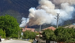 Mangal yakan 3 kafadar ormanı yaktı 