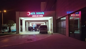 Mardin'de hayvan otlatma kavgası 