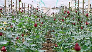 Meslek liseleri üretmeye devam ediyor