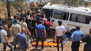 Minibüs ağaca saplandı: 1 yaralı