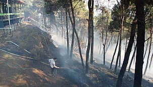 Ormanlık alanda yangın çıktı!