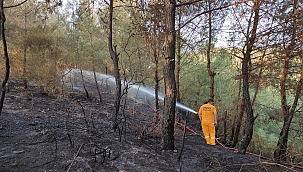 Osmaniye orman yangını!
