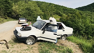 Otomobil takla attı arılar yola saçıldı