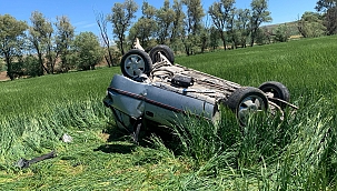 Otomobil tarlaya devrildi: 1 yaralı 