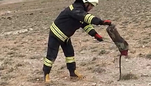 Otomobile giren yılanı itfaiye çıkarttı 