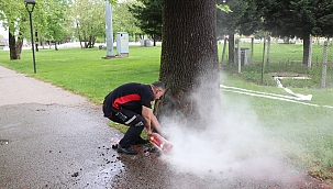 Parkta çıkan yangın söndürüldü!