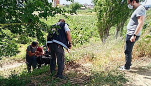 Polis ekipleri ağaca asılı halde buldu