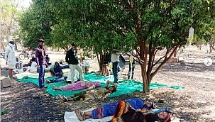 Portakal bahçelerinde korona tedavisi