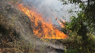 Pütürgü'de ormanlık alanda yangın