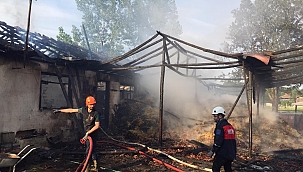 Sakarya'da çiftlikte yangın!