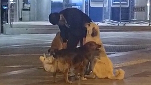 Sokak köpeklerine şefkat yürekleri ısıttı