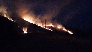 Söke'deki yangınlar korkuttu 