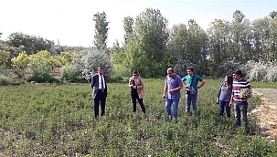 Tarım ÜFE nisanda aylık bazda azaldı 