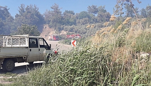 Yangında kayısı ağaçları zarar gördü 