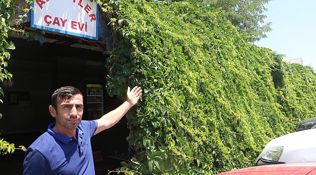 6 yılda ön cepheyi tamamen kapladı 