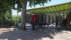 Ağacı kesmeye kıyamayınca..