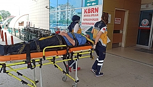 Ağaçtan düşen çiftçi yaralandı! 