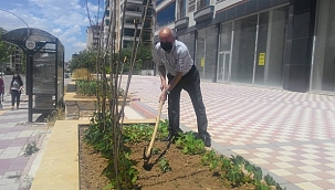 Apartman önünü hobi bahçesi yaptı