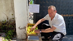 Askıda kayısıya yoğun ilgi 