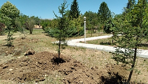 Casa Şehitliği'nde çevre düzenleme çalışmaları
