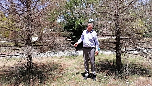 Casa şehitliğinde bakımsızlık iddiası