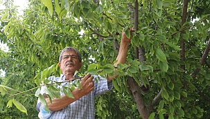 Düşük rekolte çiftçiyi düşündürüyor!