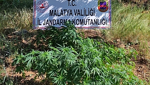 Darende'de uyuşturucu operasyonu!