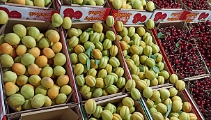 En pahalı meyve olarak dikkat çekiyor