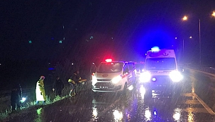 Erzincan'da trafik kazası: 3 yaralı 