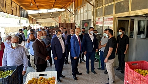 Kayısıda 150 bin ton rekolte bekleniyor 