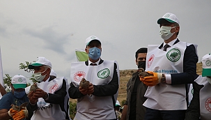 Keklikler doğaya salındı! 