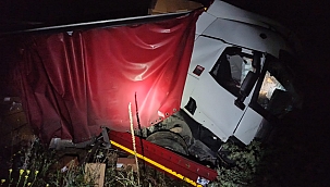 Kontrolden çıkan çekici yoldan çıktı