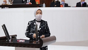 "Malatya'daki projelere 1 milyarlık ödenek"