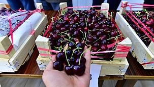 Ödül töreni 25 Haziran'da! 