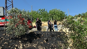 Örtü yangınında fidanlar zarar gördü