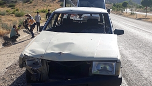 Otomobil ata çarptı: 2 yaralı 