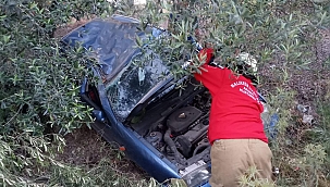 Otomobil zeytin bahçesine girdi