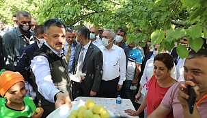 Pakdemirli kayısı hasadına katıldı
