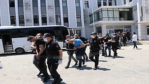 Suç örgütü operasyonu: 53 gözaltı 