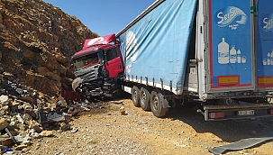 Tır şarampole uçtu sürücü yaralandı 