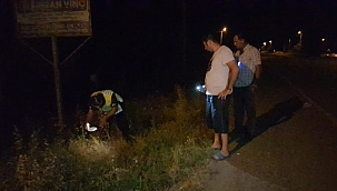 Tire'de trafik kazası: 1 ölü 